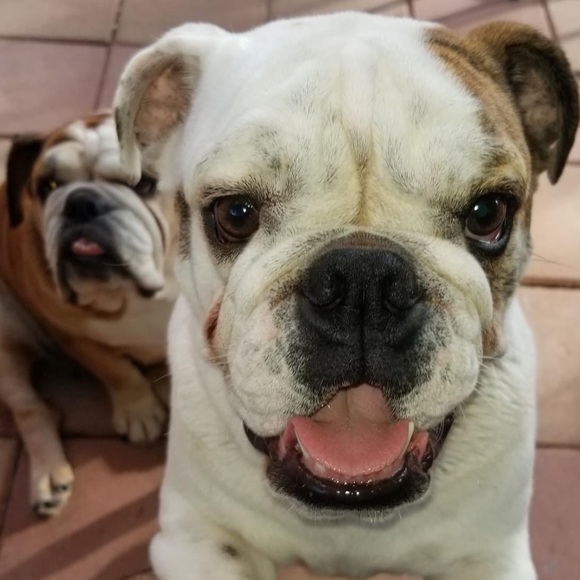 Meet your Posher, Carey - Picture 1 of 1